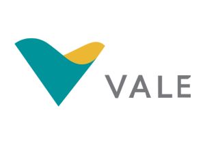 Vale Saude Logo